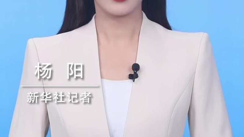 SaaS平台定制开发代理加盟：揭秘企业数字化转型新动力